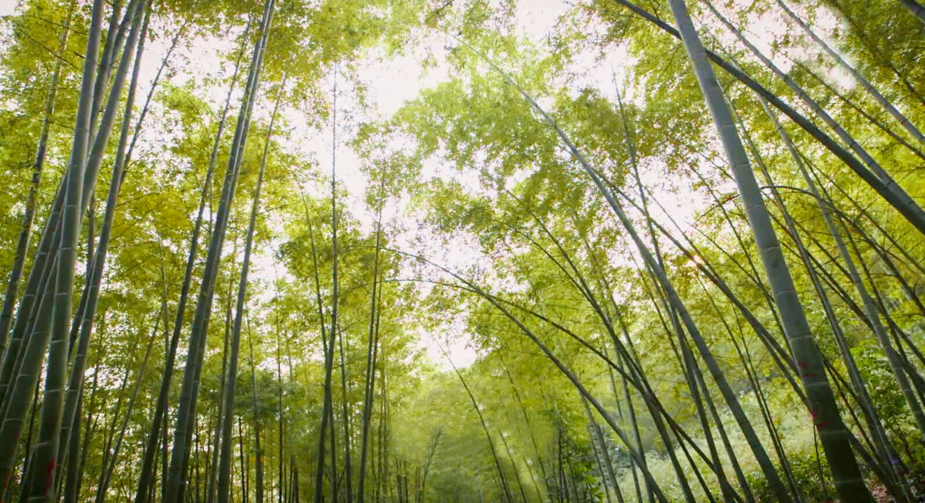 人生就是博_首页入口